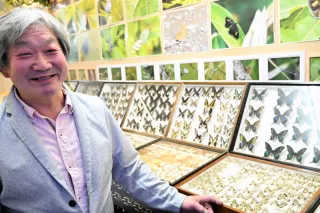 チョウ収集52年　鮮やかに　浜中の木田さん、標本資料館を開設