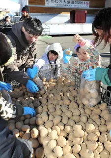 イモ詰め放題に夢中　