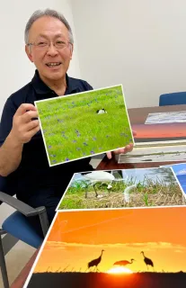 タンチョウ保護　写真で訴え　釧路の小島さん、札幌で12日から個展「価値を伝えたい」
