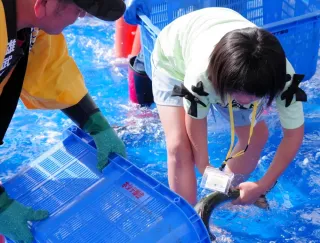 山海の幸、5千人満喫　雄武でまつり　サケつかみ取りも