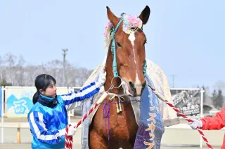3月1日のレース紹介 第16回スピードスター賞 引退レースのサクラヒメに