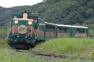 今季で運行が終了する「くしろ湿原ノロッコ号」＝18日、釧路町内（小川正成撮影）