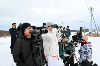 オオワシの希少な姿間近に　浜頓別・宇曽丹地区で観察会　「細かな表情見られた」
