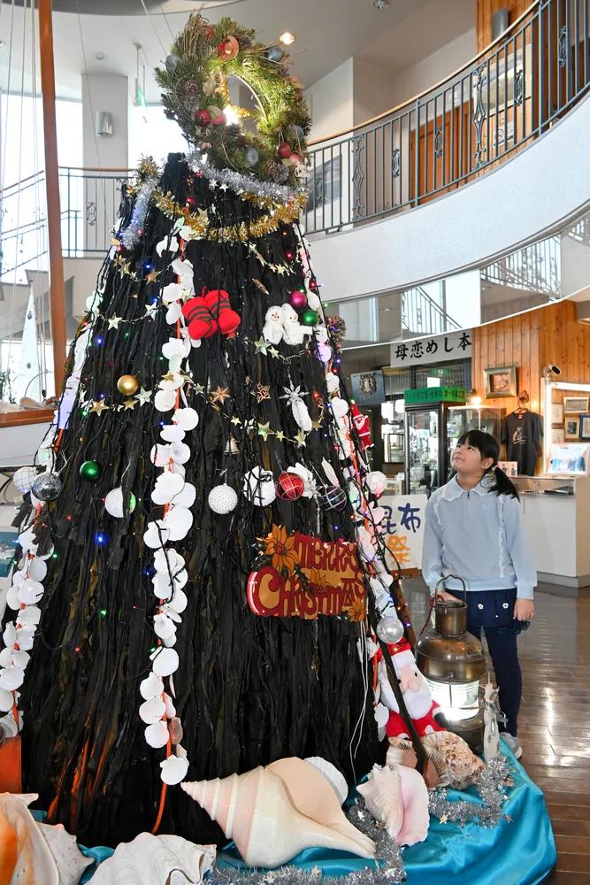 室蘭特産コンブでツリー　エンルムマリーナに登場